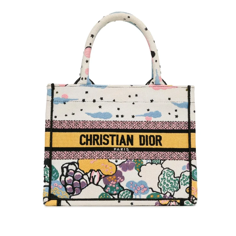 Dior Small Ciel de Reve Book Tote (SHG-TWrsQK)