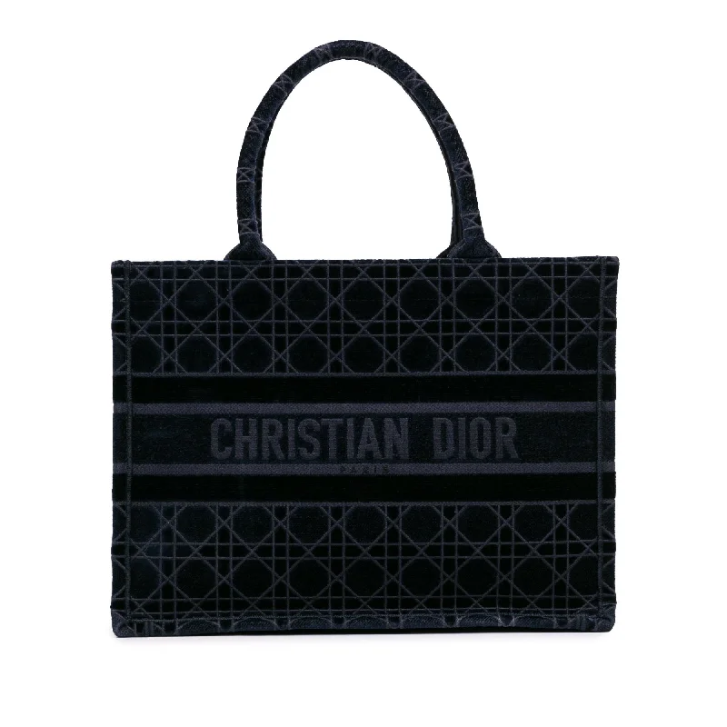 Dior Medium Cannage Embroidered Book Tote (SHG-fvzewU)